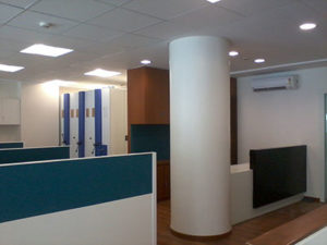 cl11
